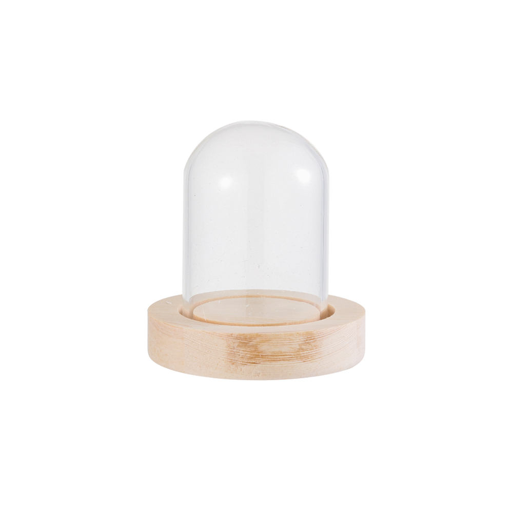 Vase Decor - Lampu Hias Dekorasi Rumah Terarium Botol